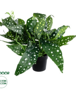 GloboStar® Artificial Garden BEGONIA POLKA DOT PLANT 20959 Διακοσμητικό Φυτό Βιγόνια Φ50 x Υ22cm