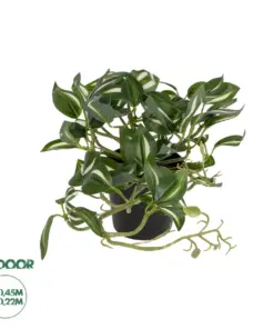 GloboStar® Artificial Garden ZEBRINA PLANT 20960 Διακοσμητικό Φυτό Ζεμπρίνα Φ45 x Υ22cm