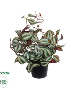 GloboStar® Artificial Garden ZEBRINA PLANT 20961 Διακοσμητικό Φυτό Ζεμπρίνα Φ45 x Υ22cm