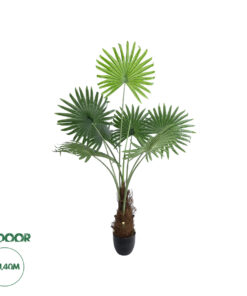 GloboStar® Artificial Garden SERENOA PALM PLANT 20971 Διακοσμητικό Φυτό Φοίνικα Σερενόα Φ60 x Υ140cm
