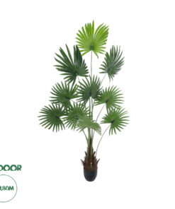 GloboStar® Artificial Garden SERENOA PALM PLANT 20972 Διακοσμητικό Φυτό Φοίνικα Σερενόα Φ103 x Υ180cm