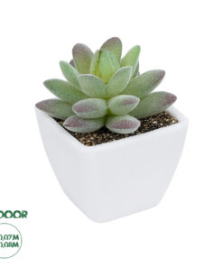 GloboStar® Artificial Garden SUCCULENT SEDEVERIA POTTED PLANT 20975 Διακοσμητικό Φυτό Φοίνικα Σερενόα Φ7 x Υ8cm
