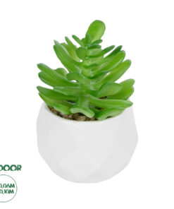 GloboStar® Artificial Garden SUCCULENT CRASSULA POTTED PLANT 20986 Διακοσμητικό Φυτό Κρασούλα Φ6 x Υ10cm