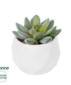 GloboStar® Artificial Garden SUCCULENT SEDEVERIA POTTED PLANT 20987 Διακοσμητικό Φυτό Σεδεβέρια Φ7 x Υ7,5cm
