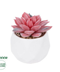 GloboStar® Artificial Garden SUCCULENT SEDEVERIA POTTED PLANT 20989 Διακοσμητικό Φυτό Σεδεβέρια Φ6,5 x Υ8cm