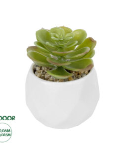 GloboStar® Artificial Garden SUCCULENT ECHEVERIA POTTED PLANT 20991 Διακοσμητικό Φυτό Εχεβέρια Φ6 x Υ8,5cm