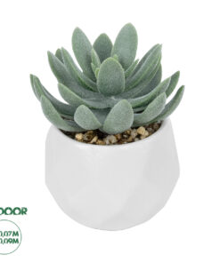 GloboStar® Artificial Garden SUCCULENT SEDEVERIA POTTED PLANT 20998 Διακοσμητικό Φυτό Σεδεβέρια Φ7 x Υ9cm