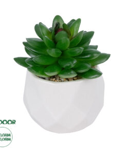 GloboStar® Artificial Garden SUCCULENT SEDEVERIA POTTED PLANT 21002 Διακοσμητικό Φυτό Σεδεβέρια Φ8 x Υ9cm