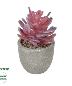 GloboStar® Artificial Garden SUCCULENT CRASSULA POTTED PLANT 21015 Διακοσμητικό Φυτό Κρασούλα Φ7 x Υ11,5cm