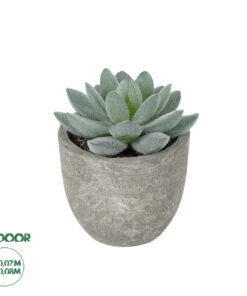 GloboStar® Artificial Garden SUCCULENT SEDEVERIA POTTED PLANT 21016 Διακοσμητικό Φυτό Σεδεβέρια  Φ7 x Υ8cm