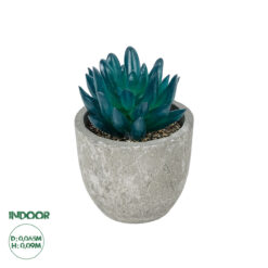 GloboStar® Artificial Garden SUCCULENT SEDEVERIA POTTED PLANT 21018 Διακοσμητικό Φυτό Σεδεβέρια Φ6,5 x Υ9cm