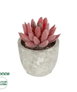 GloboStar® Artificial Garden SUCCULENT SEDEVERIA 21020 Τεχνητό Διακοσμητικό Φυτό Σεδεβέρια Μ6.5 x Π6.5 x Υ9cm