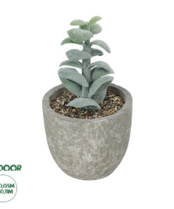 GloboStar® Artificial Garden SUCCULENT SEDEVERIA POTTED PLANT 21027 Διακοσμητικό Φυτό Σεδεβέρια Φ5 x Υ11cm