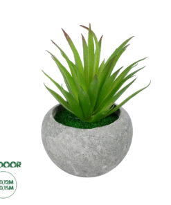 GloboStar® Artificial Garden AIR PLANT TILLANDSIA POTTED PLANT 21036 Διακοσμητικό Φυτό Τιλάντσια Φ12 x Υ15cm