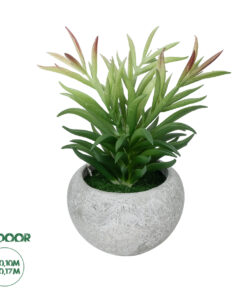 GloboStar® Artificial Garden SUCCULENT CRASSULA POTTED PLANT 21038 Διακοσμητικό Φυτό Κρασούλα Φ10 x Υ17cm
