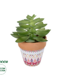 GloboStar® Artificial Garden SUCCULENT ECHEVERIA POTTED PLANT 21048 Διακοσμητικό Φυτό Εχεβέρια Φ13 x Υ18cm