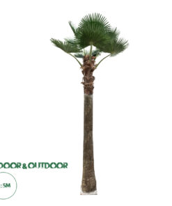 GloboStar® Artificial Garden PLANT PALM TREE 21056 Διακοσμητικό Δέντρο Φοίνικα Φ240 x Υ500cm