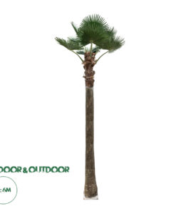 GloboStar® Artificial Garden PLANT PALM TREE 21057 Διακοσμητικό Δέντρο Φοίνικα Φ240 x Υ600cm