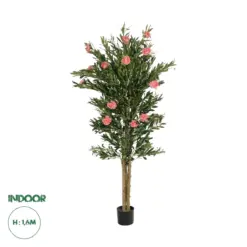 GloboStar® Artificial Garden PINK PEONY 21097 Τεχνητό Διακοσμητικό Δέντρο Παιώνια Μ80 x Π70 x Υ160cm
