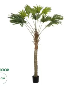 GloboStar® Artificial Garden WASHINGTONIA FILIFERA TREE 21107 Τεχνητό Διακοσμητικό Φοινικόδεντρου Υ200cm