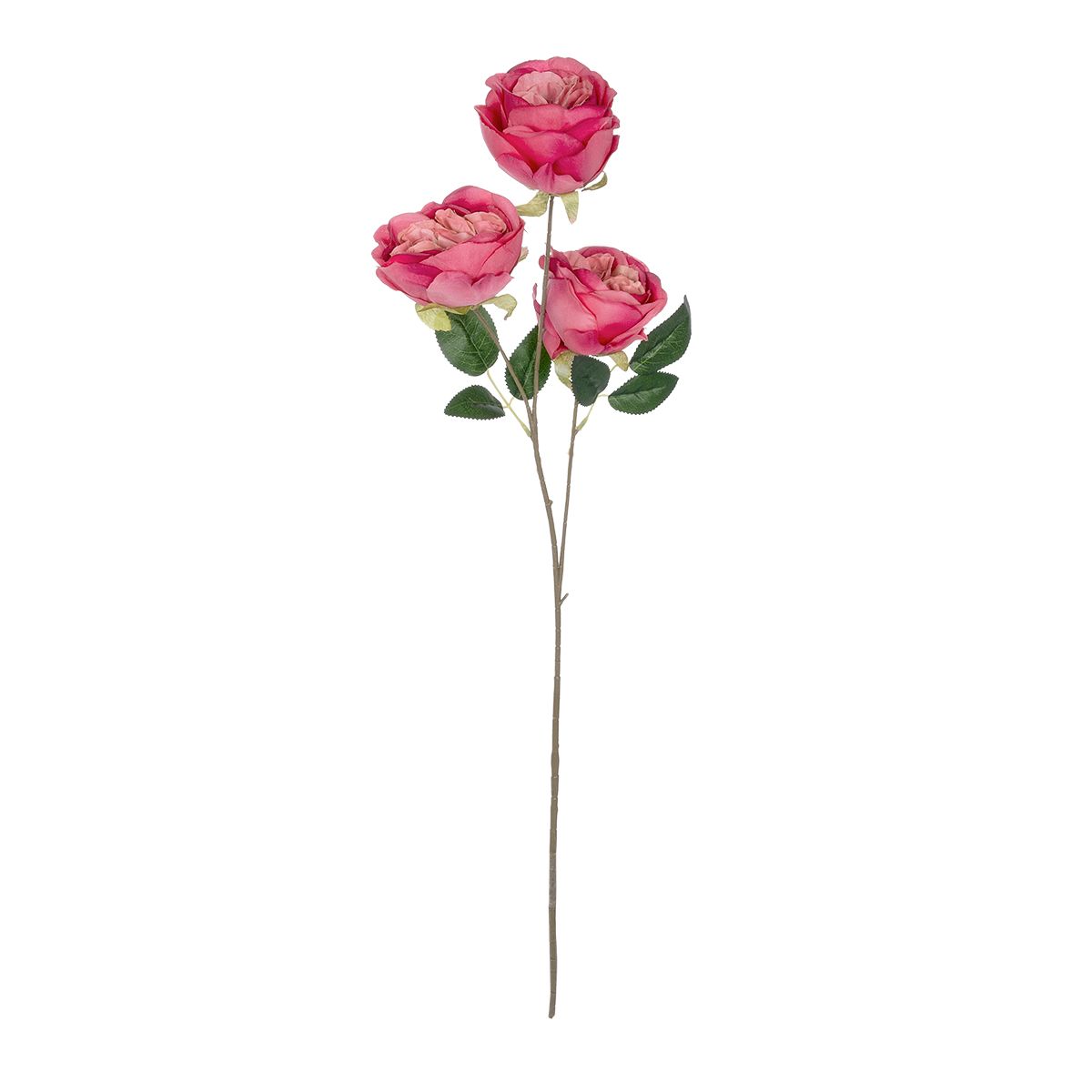 GloboStar® Artificial Garden HOT PINK ROSE BRANCH 21139 Τεχνητό Διακοσμητικό Κλαδί έντονο Ροζ Τριαντάφυλλο Y70cm - Image 2
