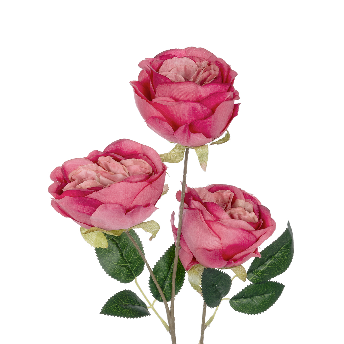 GloboStar® Artificial Garden HOT PINK ROSE BRANCH 21139 Τεχνητό Διακοσμητικό Κλαδί έντονο Ροζ Τριαντάφυλλο Y70cm - Image 3
