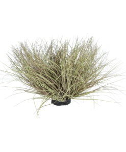 Alternative view of GloboStar® Artificial Garden GRASS BUSH PLANT 21167 Τεχνητό Διακοσμητικό Φυτό Θάμνος Grass Π50cm Y30cm