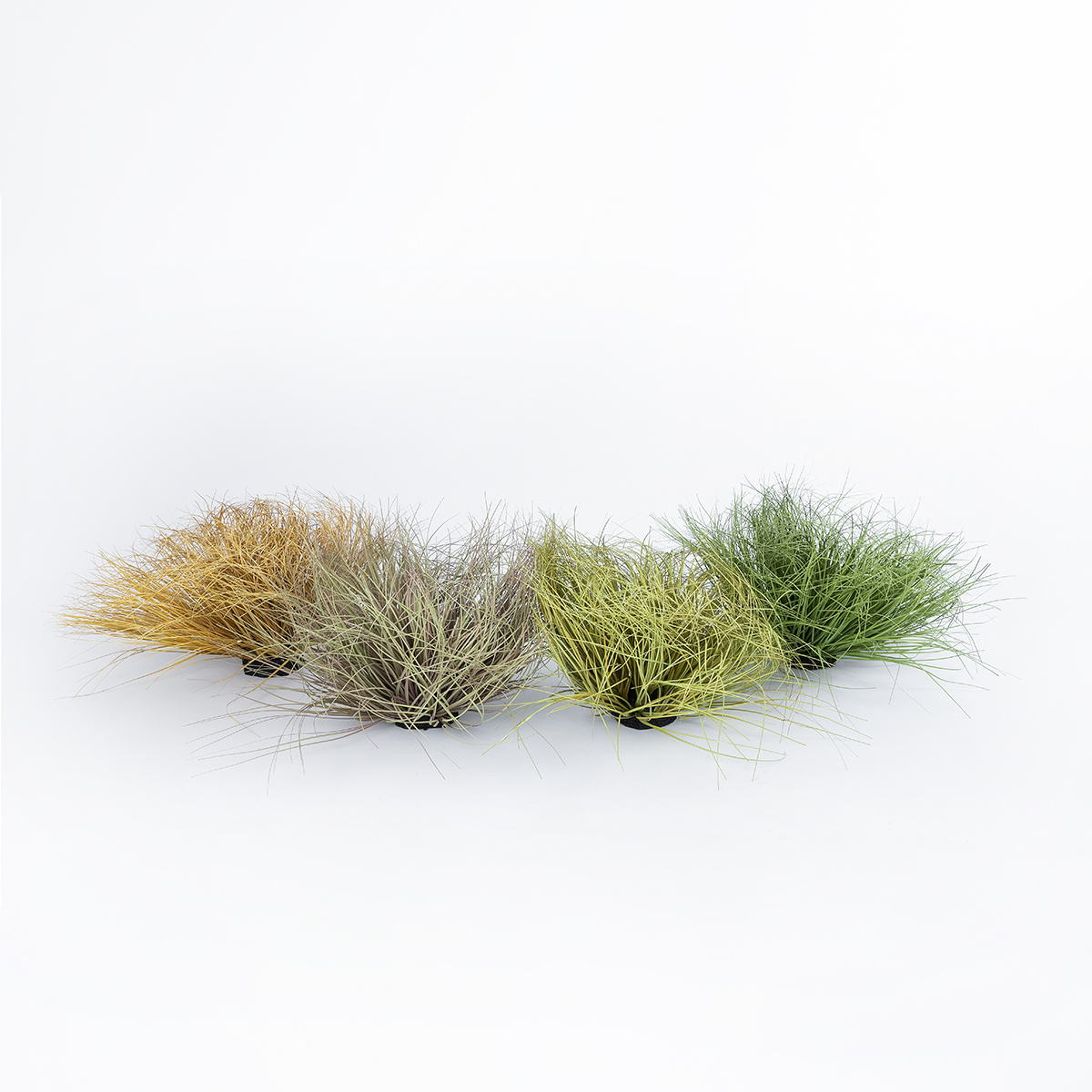 GloboStar® Artificial Garden GRASS BUSH PLANT 21167 Τεχνητό Διακοσμητικό Φυτό Θάμνος Grass Π50cm Y30cm - Image 4