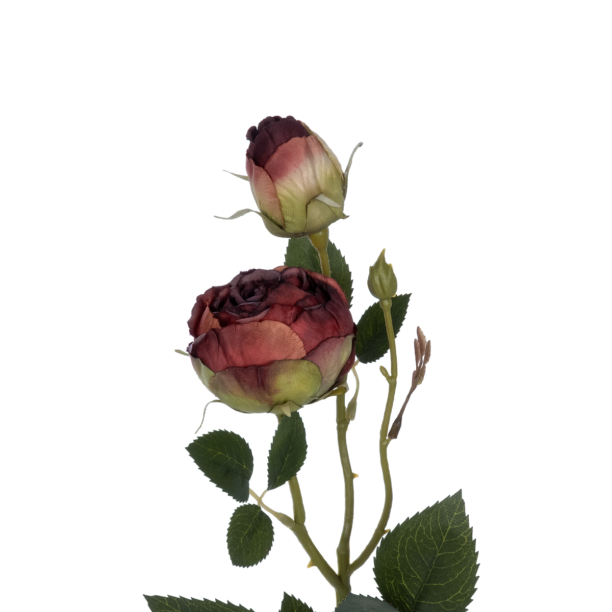 GloboStar® Artificial Garden RED DAMASK CLIMBING ROSE BRANCH 21197 Τεχνητό Διακοσμητικό Κλαδί Τριαντάφυλλο Κόκκινο Y55cm - Image 3
