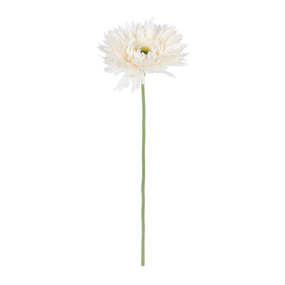 GloboStar® Artificial Garden PALE PINK GERBERABRANCH 21204 Τεχνητό Διακοσμητικό Κλαδί Ζέρμπερας Απαλό Ροζ Y44cm - Image 2