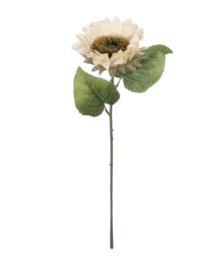 Alternative view of GloboStar® Artificial Garden PINK SUNFLOWER  BRANCH 21211 Τεχνητό Διακοσμητικό Κλαδί Ηλιοτρόπιο Ροζ Y50cm