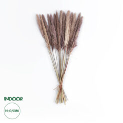 GloboStar® Artificial Garden REAL DRIED BROWN PAMPAS GRASS BUNCH 21215 Αποξηραμένο Διακοσμητικό Μπουκέτο Pampas Kάφε Y50cm - Σετ 15 τμχ