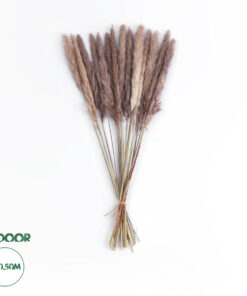 GloboStar® Artificial Garden REAL DRIED BROWN PAMPAS GRASS BUNCH 21215 Αποξηραμένο Διακοσμητικό Μπουκέτο Pampas Kάφε Y50cm - Σετ 15 τμχ