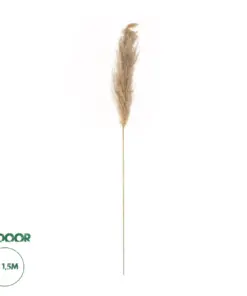 GloboStar® Artificial Garden PAMPAS GRASS 21217 Αποξηραμένο Διακοσμητικό Γρασίδι Πάμπας Μ10 x Π10 x Υ150cm