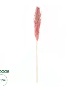 GloboStar® Artificial Garden PAMPAS GRASS 21218 Αποξηραμένο Διακοσμητικό Γρασίδι Πάμπας Μ10 x Π10 x Υ150cm