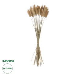 GloboStar® Artificial Garden REAL DRIED BEIGE WHEAT BUNCH 21219 Αποξηραμένο Διακοσμητικό Μπουκέτο Σιταριού Y50cm - Σετ 30 τμχ