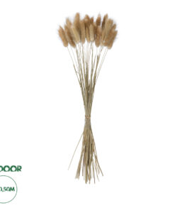 GloboStar® Artificial Garden REAL DRIED BEIGE WHEAT BUNCH 21219 Αποξηραμένο Διακοσμητικό Μπουκέτο Σιταριού Y50cm - Σετ 30 τμχ