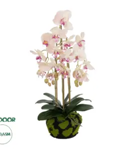 GloboStar® Artificial Garden BUTTERFLY ORCHID BONSAI 21400 Τεχνητό Διακοσμητικό Φυτό Ορχιδέα Μ34 x Π27 x Υ65cm