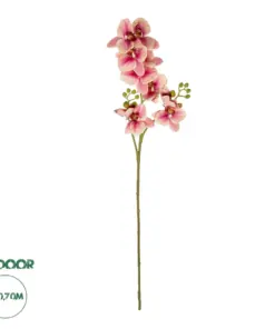 GloboStar® Artificial Garden CHAMPAGNE PINK ORCHID BRANCH 21411 Τεχνητό Διακοσμητικό Κλαδί Σαμπανί Ορχιδέα Y70cm