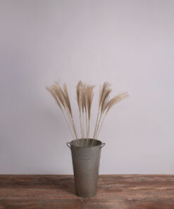 GLOBOSTAR® MISCANTHUS 36537 Αποξηραμένο Διακοσμητικό Μπουκέτο Μίσχανθος - Μπεζ - Μ20 x Π20 x Υ100cm - Πακέτο 20 Τεμαχίων