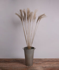 GloboStar® MISCANTHUS 36539 Αποξηραμένο Φυτό Μίσχανθος - Μπουκέτο Διακοσμητικών Κλαδιών Μπεζ Υ140cm - Σετ 10 τμχ