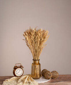 GloboStar® WHEAT 36550 Αποξηραμένο Φυτό Σίτος - Μπουκέτο Διακοσμητικών Κλαδιών Μπεζ Υ60cm - Σετ 100 τμχ