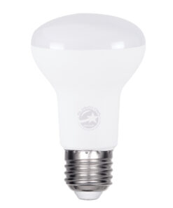 GloboStar® SPOTBULB 60078 Λάμπα E27 R63 LED 10W 1000lm 120° AC 220-240V IP20 Ψυχρό Λευκό 6000K - Lumileds SMD Chip - Λευκό Γαλακτερό - Μ6.3 x Π6.3 x Υ10.4cm - 3 Χρόνια Εγγύηση