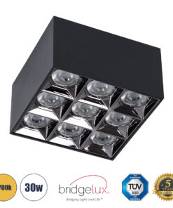 GLOBOSTAR® LUMINAR 60337 Downlight Σποτ LED 30W 4050lm 36° AC 220-240V IP20 Θερμό Λευκό 2700K - Osram SMD Chip & TÜV SÜD Driver - Μαύρο Ματ - Μ12 x Π12 x Υ6.6cm - 5 Χρόνια Εγγύηση