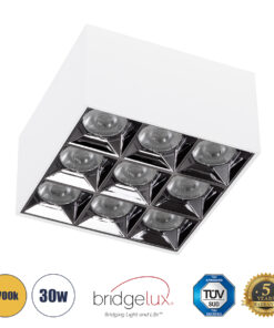 GLOBOSTAR® LUMINAR 60339 Downlight Σποτ LED 30W 4050lm 36° AC 220-240V IP20 Θερμό Λευκό 2700K - Osram SMD Chip & TÜV SÜD Driver - Λευκό Ματ - Μ12 x Π12 x Υ6.6cm - 5 Χρόνια Εγγύηση