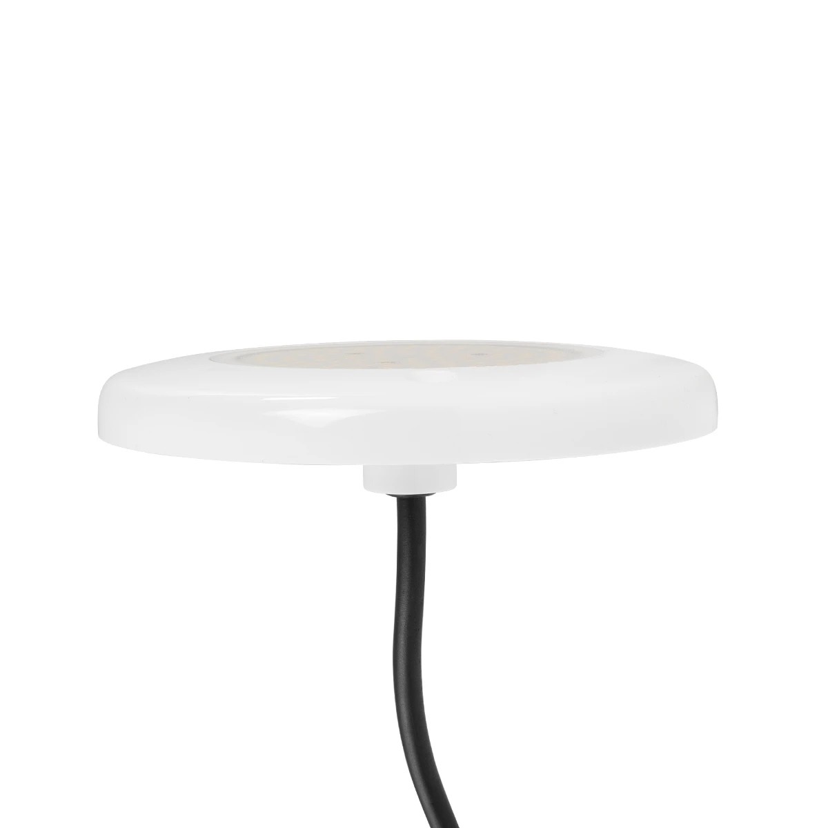 GLOBOSTAR® POOLARTY 61715 Υποβρύχιο Φωτιστικό για Σιντριβάνια/Πισίνες LED 8W 640lm 120° DC 12V Αδιάβροχο IP68 Φυσικό Λευκό 4500K Dimmable - Bridgelux SMD Chip - 1m VDE Rubber Καλώδιο - Μ13 x Π13 x Υ2cm - 3 Χρόνια Εγγύηση - Image 5