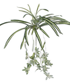 GloboStar® SPIDER PLANT 78217 Τεχνητό Φυτό Χλωρόφυτο - Μπουκέτο Διακοσμητικών Φυτών - Κλαδιών με Φύλλωμα Πράσινο - Κίτρινο - Λευκό Υ60cm