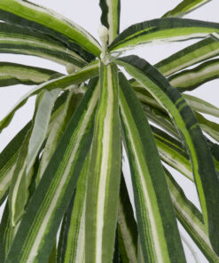 Alternative view of GloboStar® SPIDER PLANT 78217 Τεχνητό Φυτό Χλωρόφυτο - Μπουκέτο Διακοσμητικών Φυτών - Κλαδιών με Φύλλωμα Πράσινο - Κίτρινο - Λευκό Υ60cm