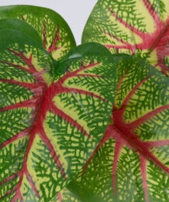 Alternative view of GloboStar® CALADIUM 78218 Τεχνητό Φυτό Καλάδιο - Μπουκέτο Διακοσμητικών Φυτών - Κλαδιών με Φύλλωμα Πράσινο - Κίτρινο - Κόκκινο Υ23cm