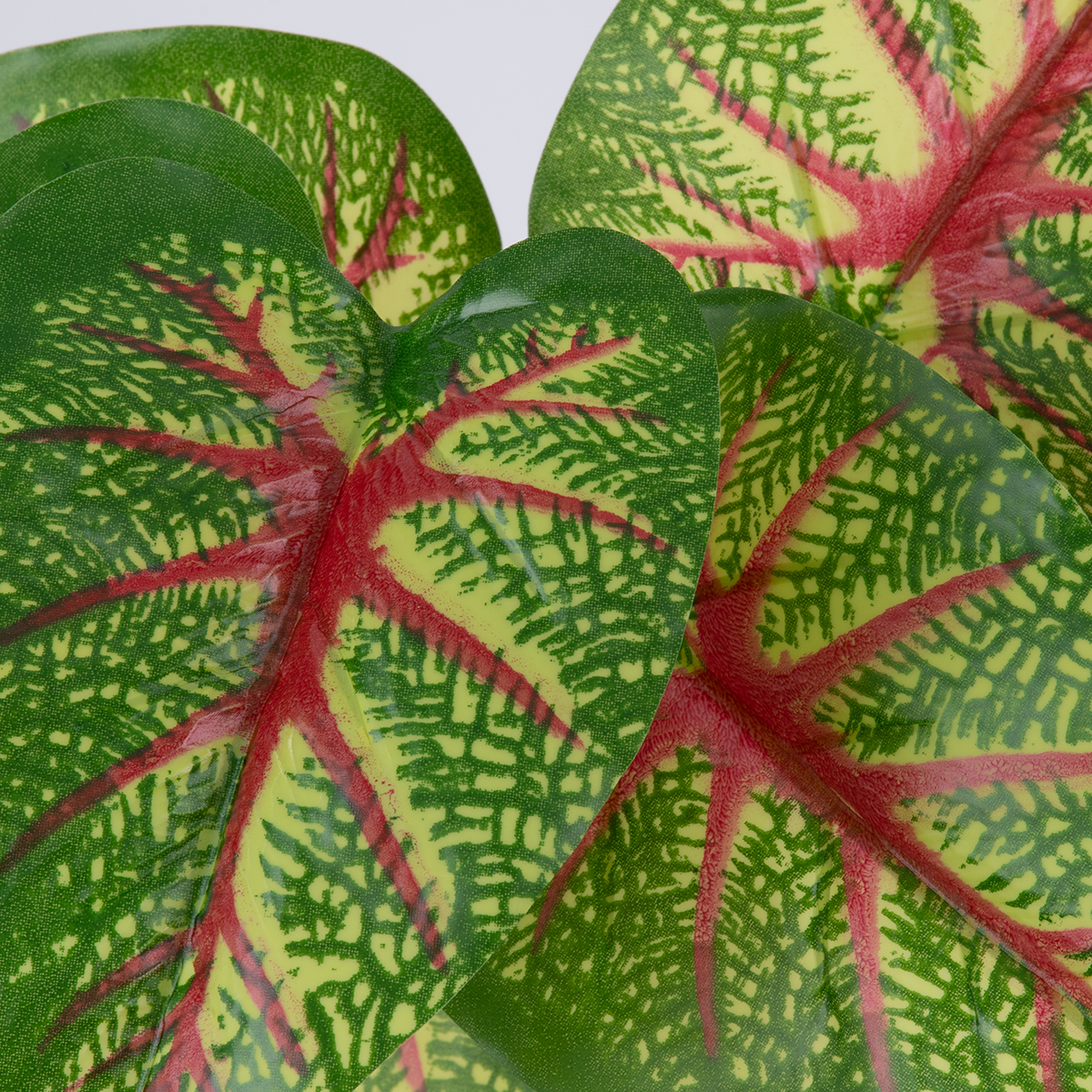 GloboStar® CALADIUM 78218 Τεχνητό Φυτό Καλάδιο - Μπουκέτο Διακοσμητικών Φυτών - Κλαδιών με Φύλλωμα Πράσινο - Κίτρινο - Κόκκινο Υ23cm - Image 2